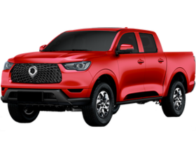 Great Wall Poer 2019' (13) 300х300