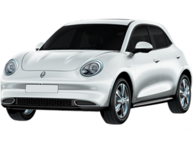 Great Wall ORA 03_Haomao 2020' 300х300