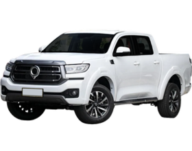 Great Wall Poer 2023' 300х300